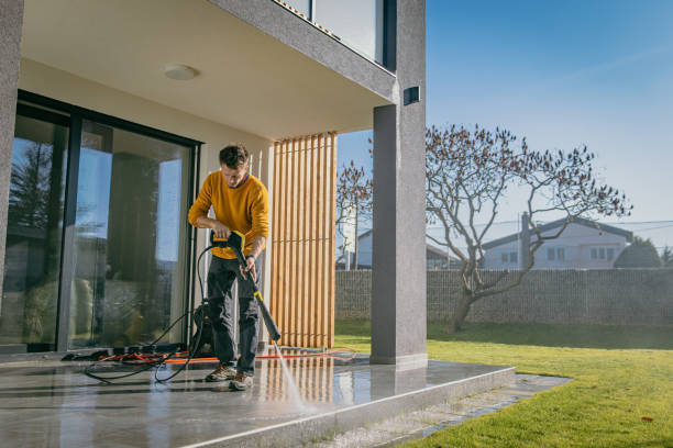 Best Animal Enclosure Cleaning  in Momence, IL
